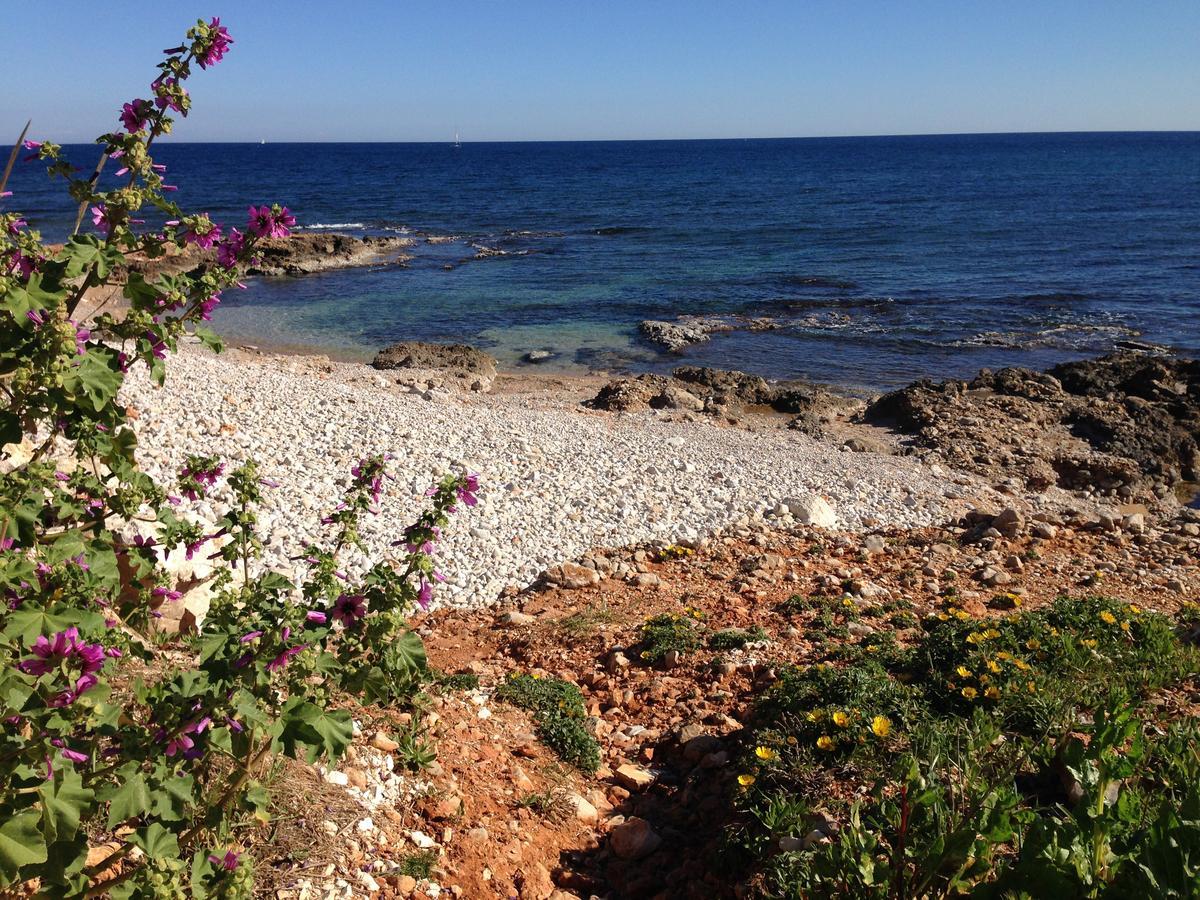 Tropicana Park Denia Zewnętrze zdjęcie